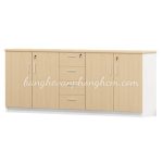 Tủ Hồ Sơ Thấp THS04 - Ảnh 20
