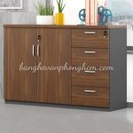 Tủ Hồ Sơ Thấp THS04 - Ảnh 24